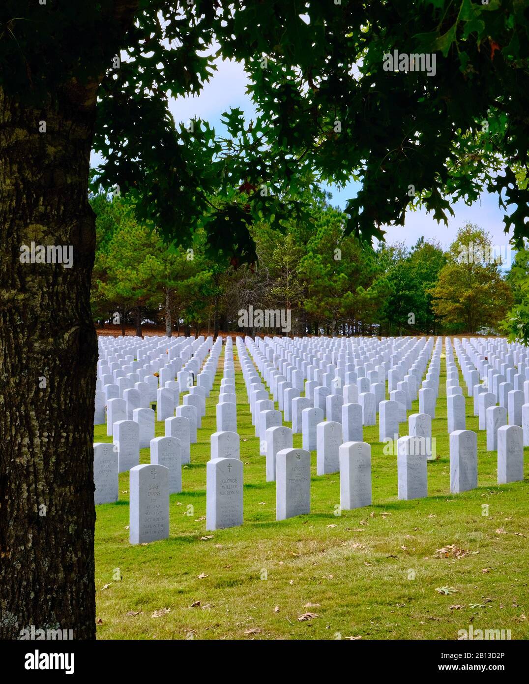 Graves Militari Su Hill Foto Stock