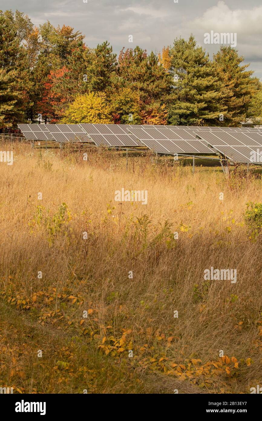 Ha passato questi pannelli nel Vermont centrale, enorme campo con molti pannelli sul lato di una collina. Energia solare. Foto Stock