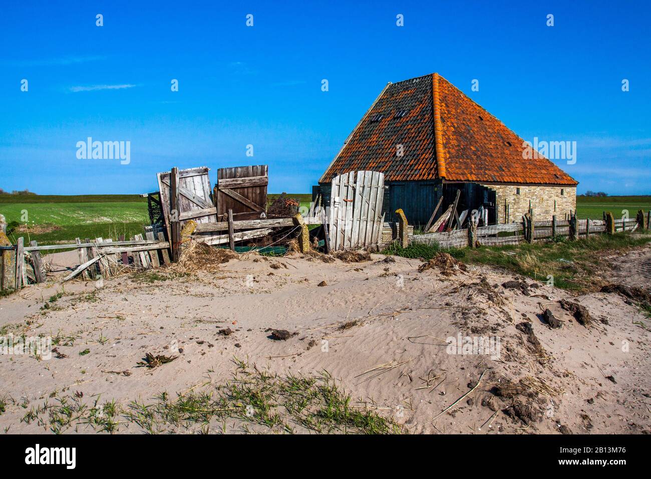 Vecchio ovile su Texel, Paesi Bassi, Texel Foto Stock