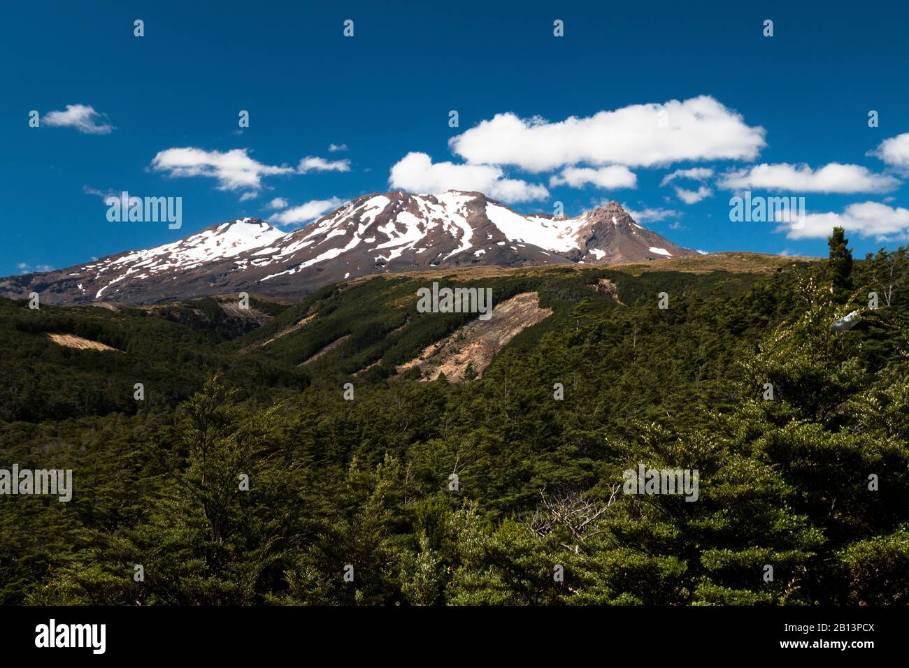 Bellissime escursioni a sud del Monte Ruapehu al Tongariro National Park, Isola del Nord, Nuova Zelanda Foto Stock