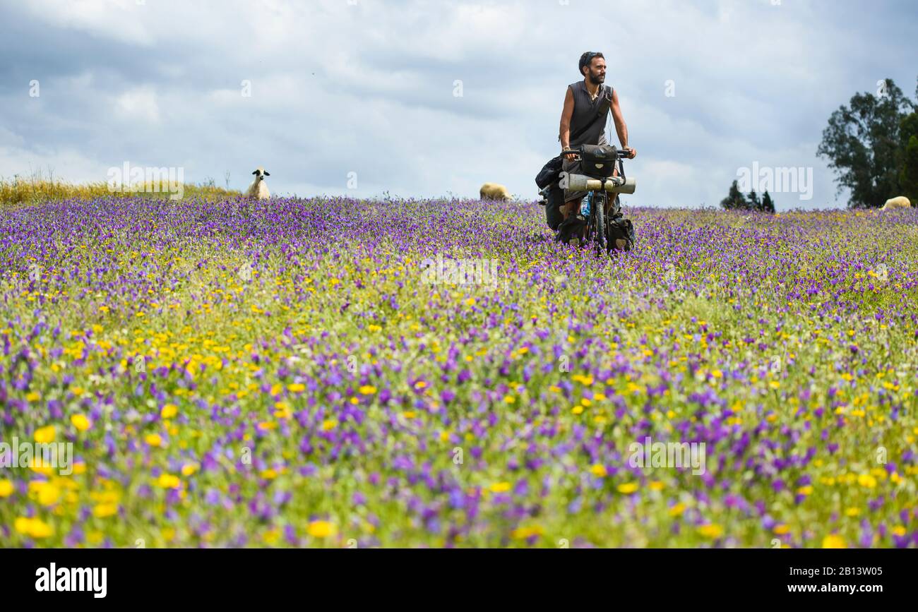 Ciclismo nel Medio Atlante, Marocco Foto Stock