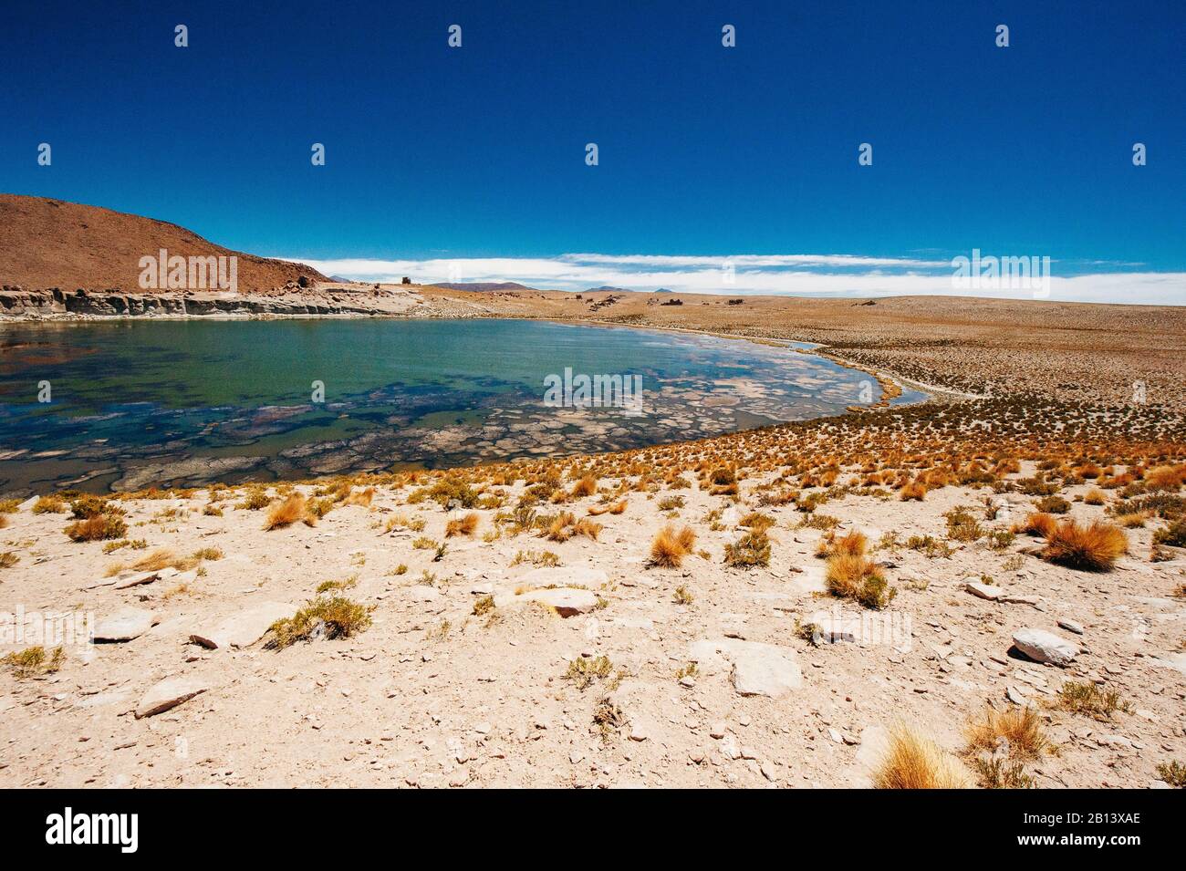 Bellissimo paesaggio nel riserva nacional los flamencos Foto Stock