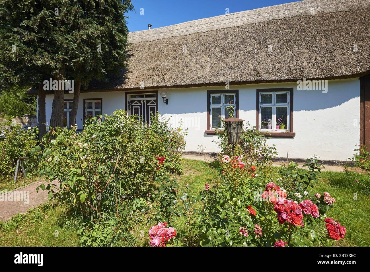 Cottage Con Tetto Di Paglia In Warthe, Lieper Winkel, Usedom Island, Mecklenburg-Vorpommern, Germania Foto Stock