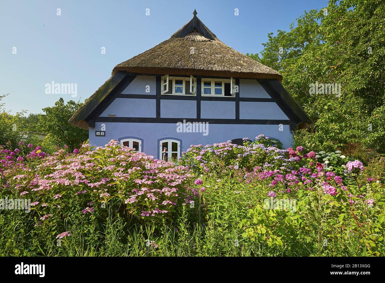 Cottage di paglia in Quilitz in Lieper Winkel, Usedom, Mecklenburg-Vorpommern, Germania Foto Stock