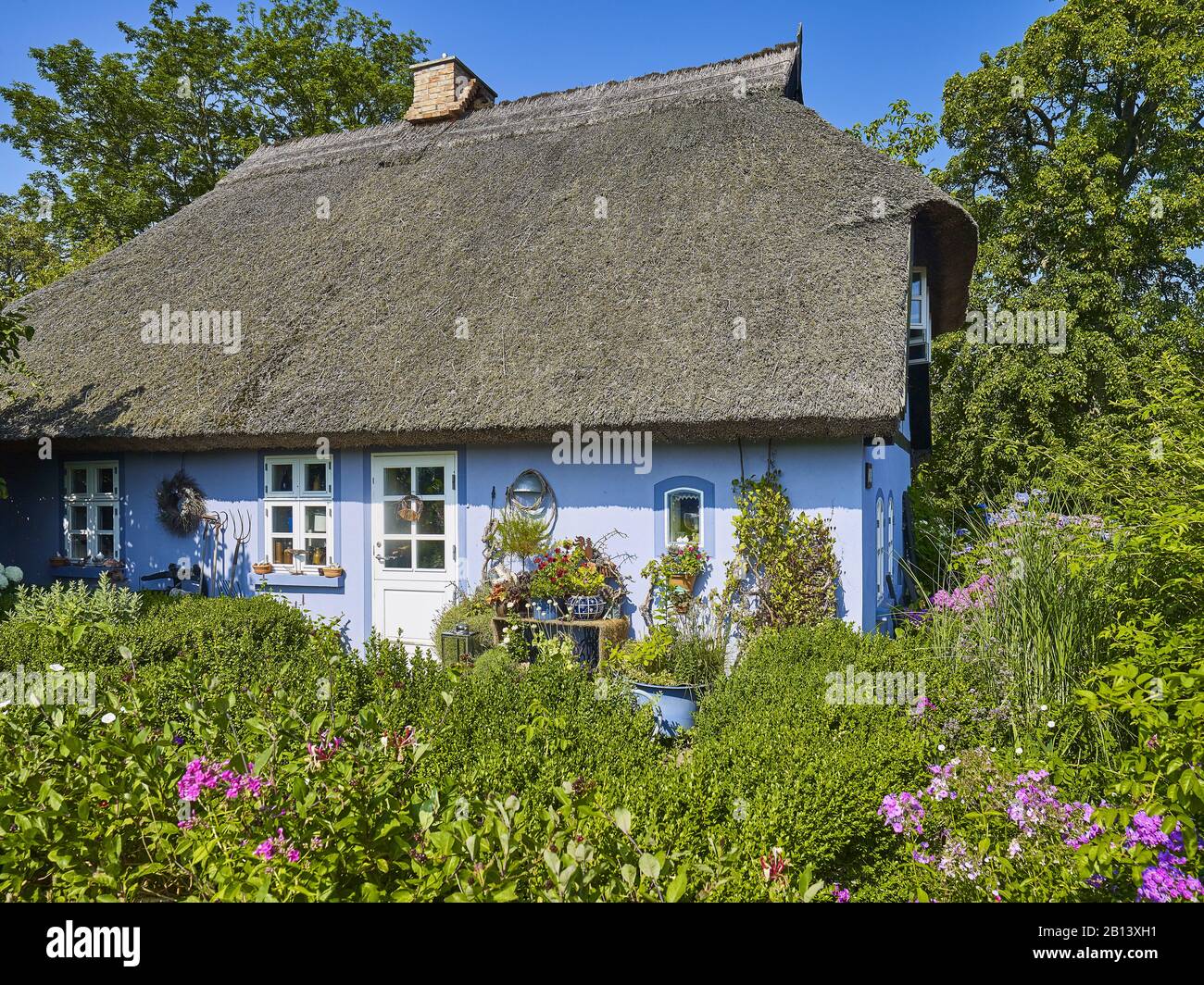 Cottage di paglia in Quilitz in Lieper Winkel, Usedom, Mecklenburg-Vorpommern, Germania Foto Stock