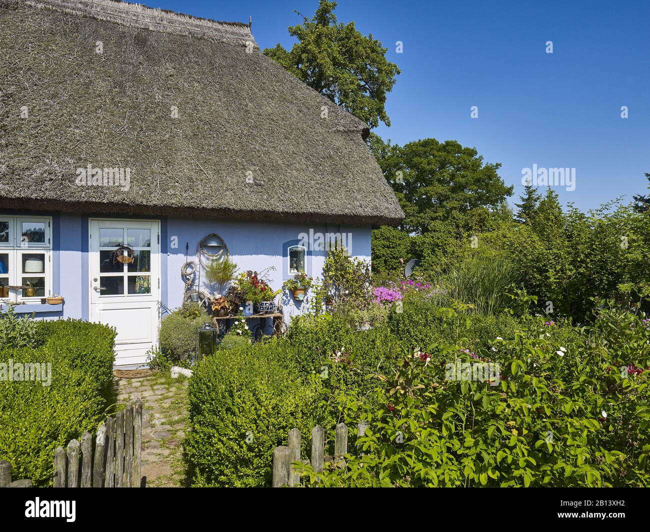 Cottage di paglia in Quilitz in Lieper Winkel, Usedom, Mecklenburg-Vorpommern, Germania Foto Stock