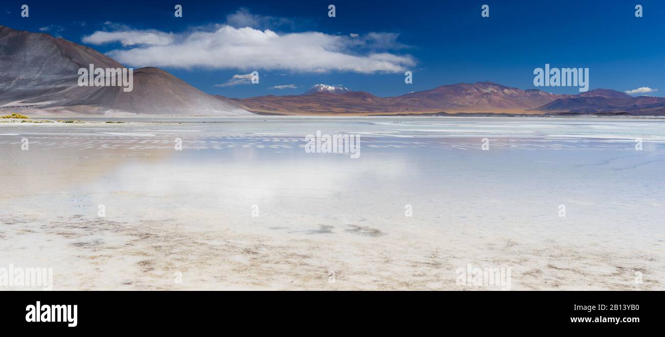 Salar de Aguas Calientes, salino, Atacama, Cile Foto Stock
