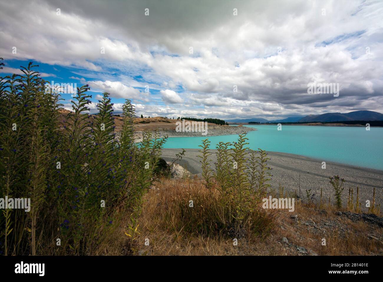 Lago Pukaki, Isola del Sud, Nuova Zelanda Foto Stock