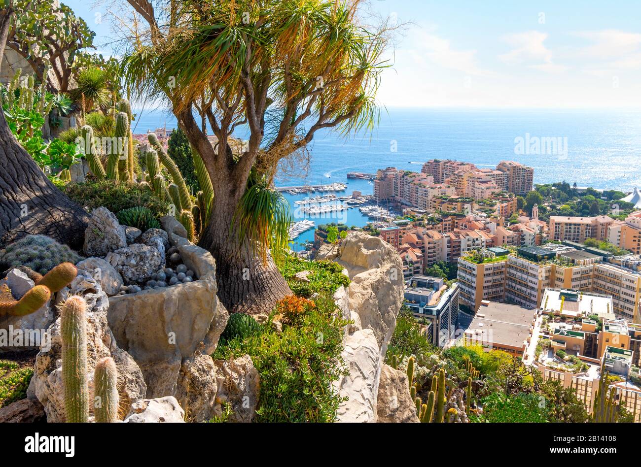 Vista dalla collina dei giardini esotici del Mar Mediterraneo e della città di Monte Carlo, Monaco. Foto Stock
