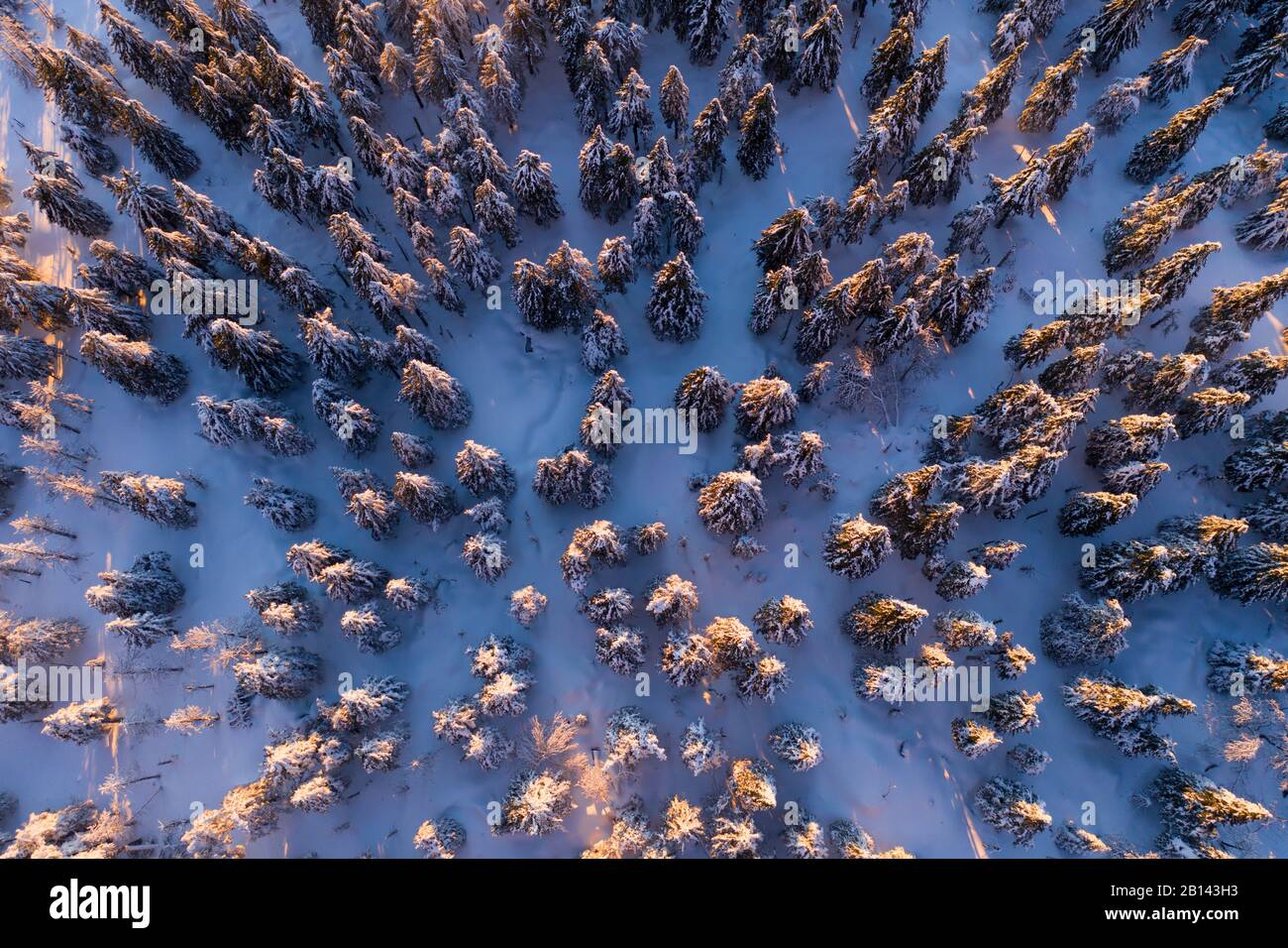 Brocken in inverno con neve Harz, Germania Foto Stock