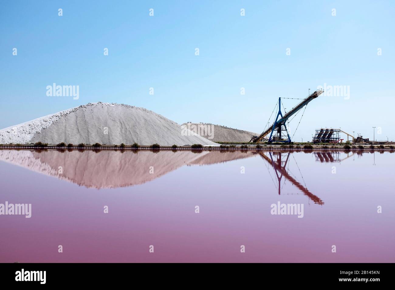 Aigues-Mortes saline paludi, Camargue, Francia meridionale Foto Stock