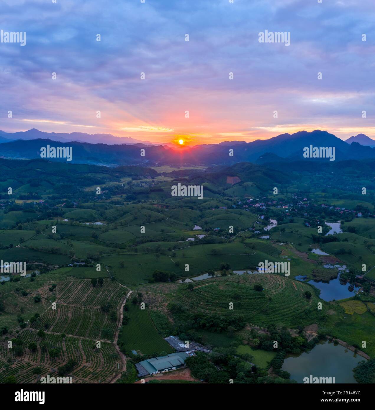 Tramonto, piantagioni di tè con montagne sullo sfondo, vicino Hanoi, Vietnam Foto Stock