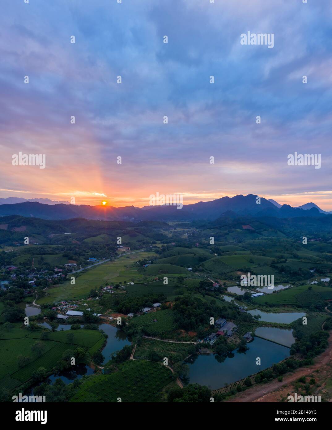 Tramonto, piantagioni di tè con montagne sullo sfondo, vicino Hanoi, Vietnam Foto Stock