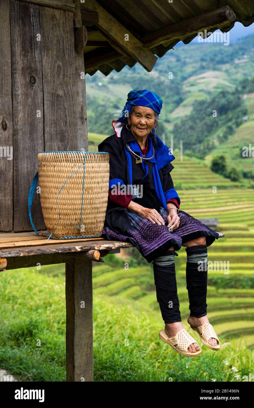 Raccolto di riso in Vietnam Foto Stock