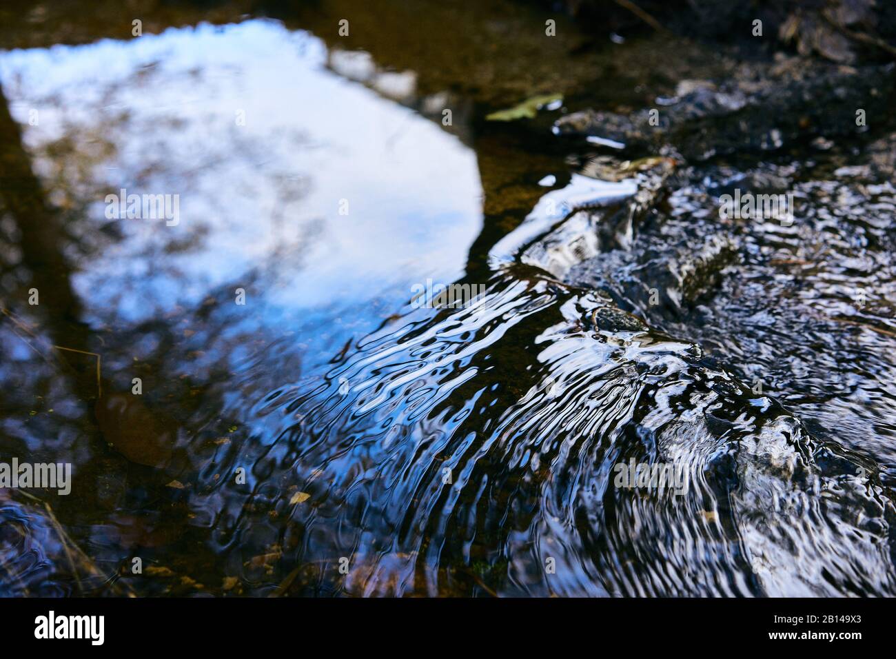 La superficie dell'acqua è in parte liscia e riflette un albero, in parte con increspature mentre l'acqua scorre in un torrente in un parco a Windsor, California. Foto Stock