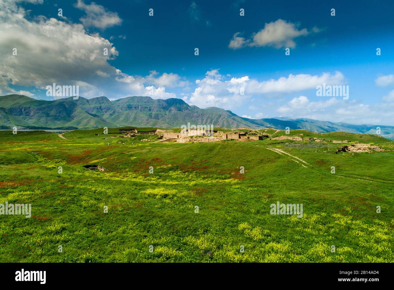 Papavero, Nisa, Ashgabat, Turkmenistan Foto Stock
