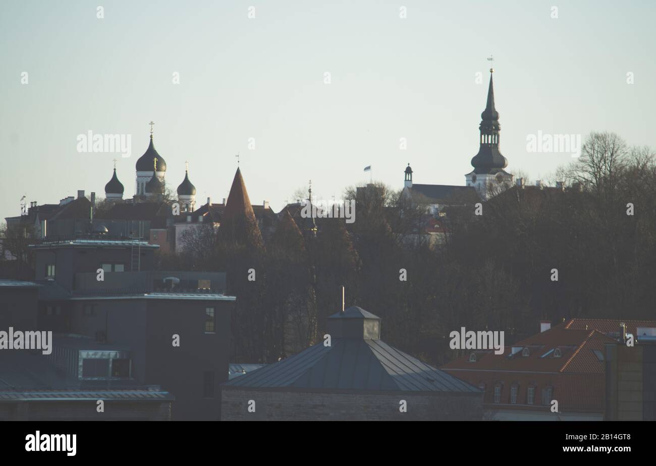 Vista a basso contrasto della città vecchia di Tallinn Foto Stock