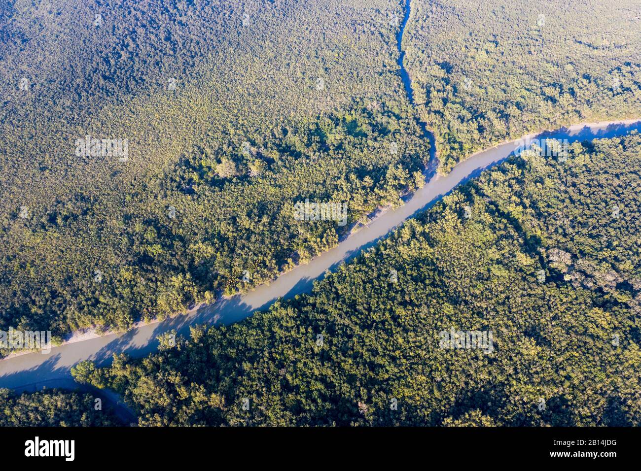 La più grande foresta di mangrovie al mondo Sundarbans del Bangladesh Parte. Foto Stock