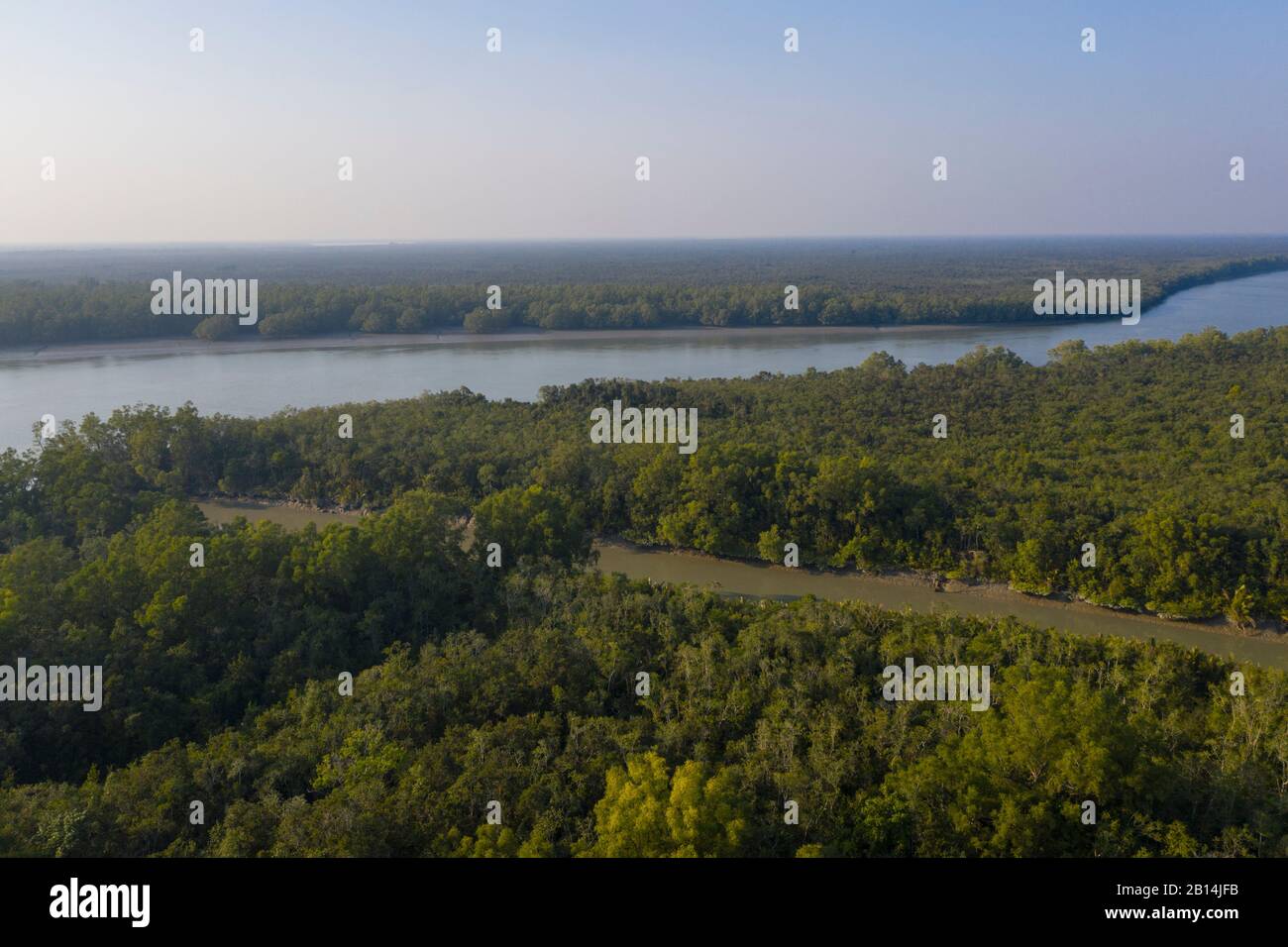 La più grande foresta di mangrovie al mondo Sundarbans del Bangladesh Parte. Foto Stock