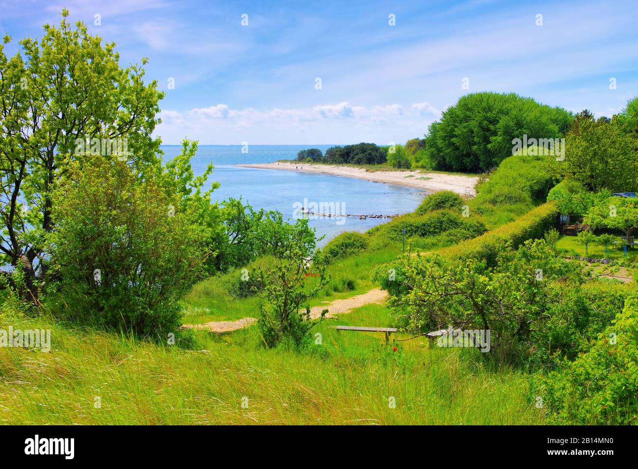 La spiaggia sull'isola di Ruegen vicino Thiessow Foto Stock