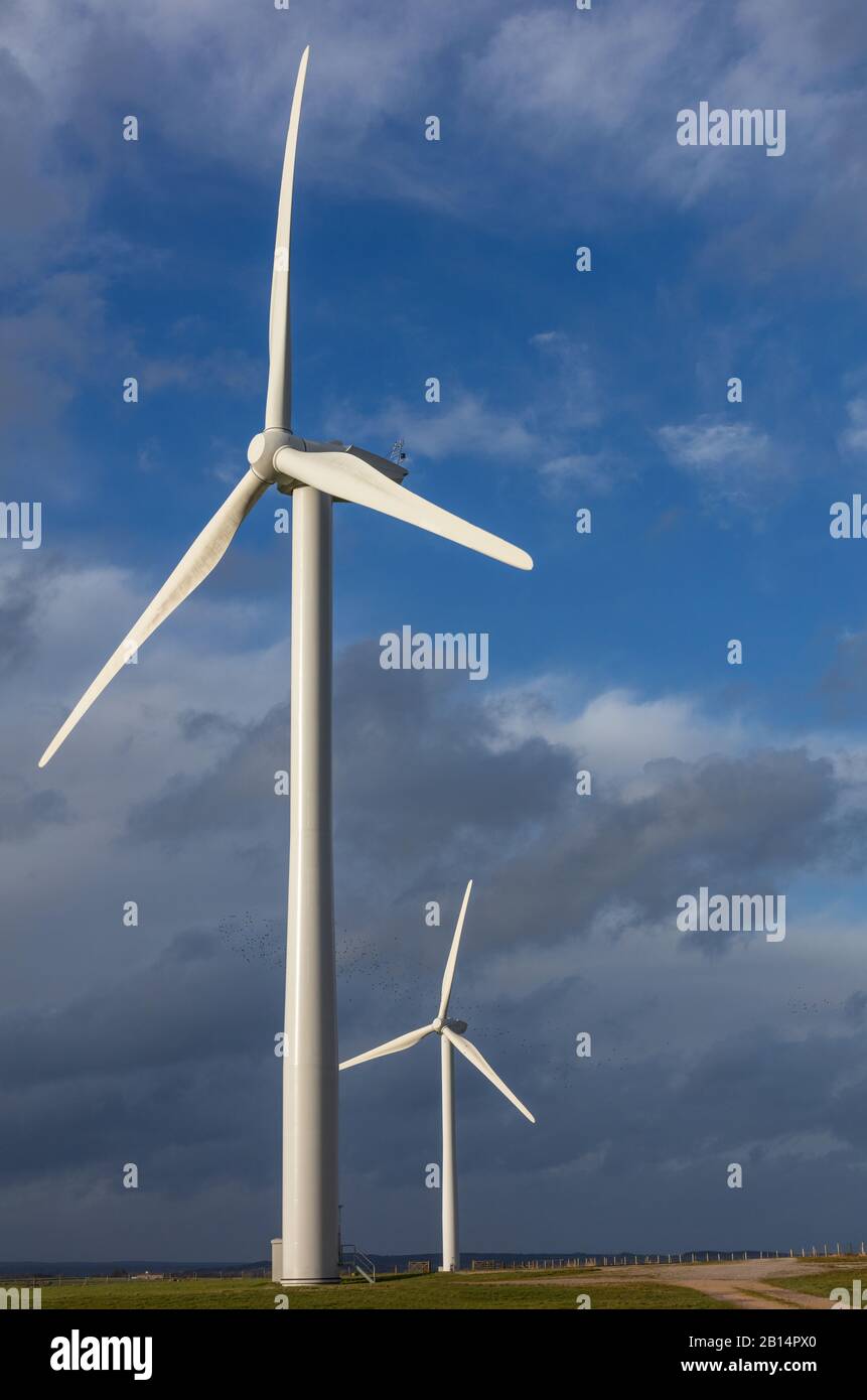 Turbine Eoliche Nelle Vicinanze Di Harrogate, North Yorkshire, Inghilterra, Regno Unito Foto Stock