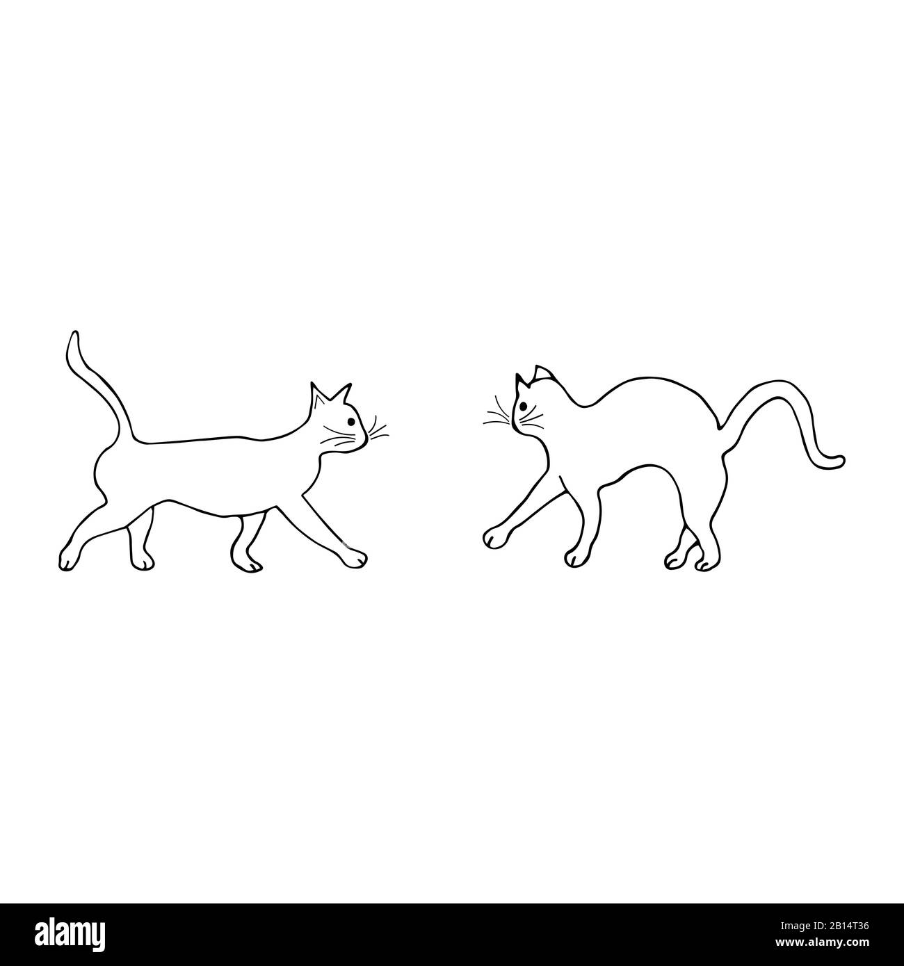 Due gatti vanno l'uno verso l'altro, uno arcuato la schiena e prudente. Doodle in bianco e nero su sfondo bianco. Animali carini Illustrazione Vettoriale