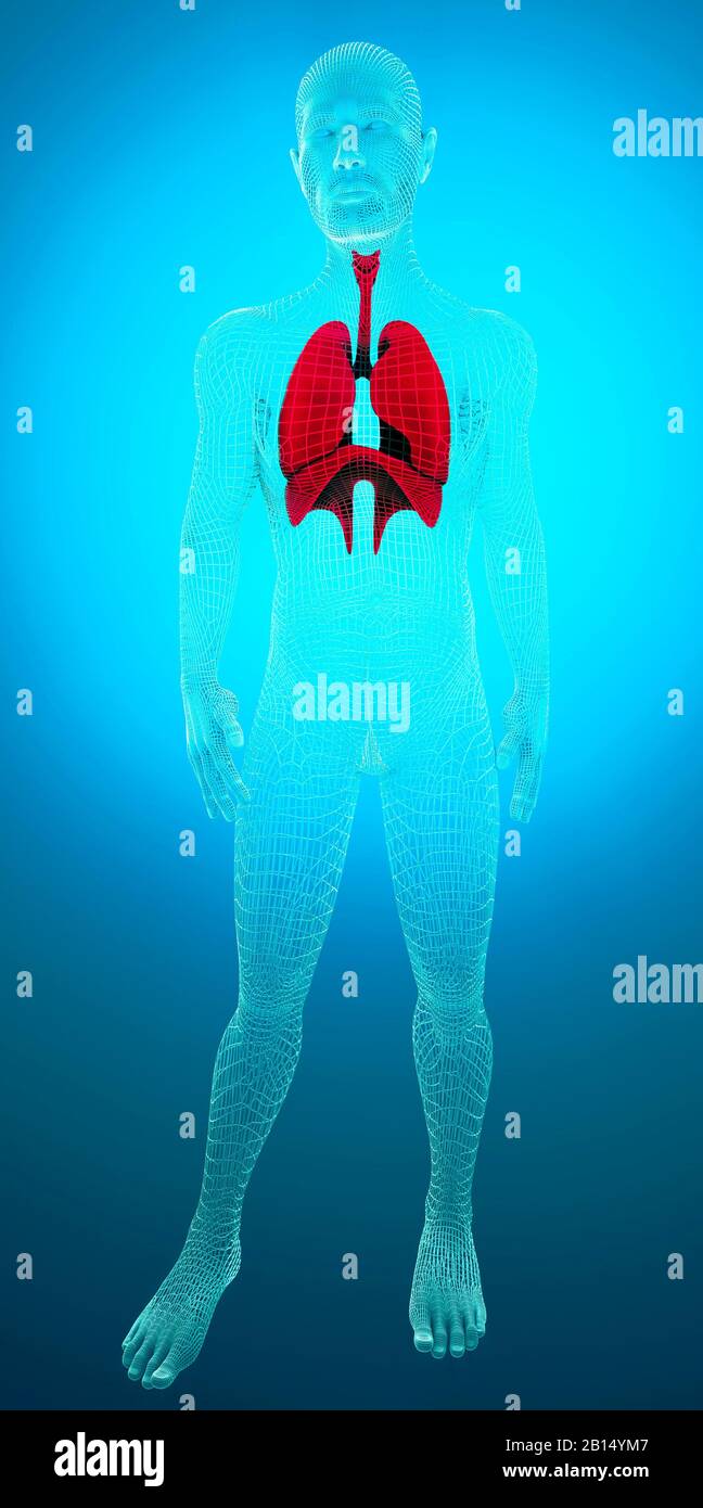 Controlli biometrici, Covid-19, analisi tecnologica e verifica di sintomi infettivi, problemi respiratori, coronavirus, rendering 3d. Display HUD. Foto Stock