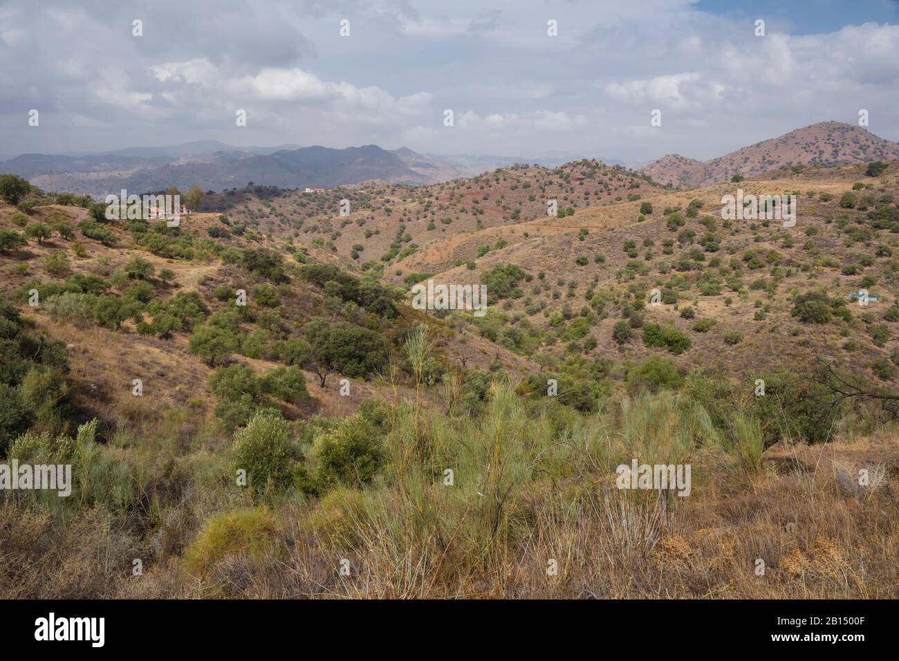 Tipico paesaggio mediterraneo nella provincia di Malaga, vicino ad Almogia. Foto Stock