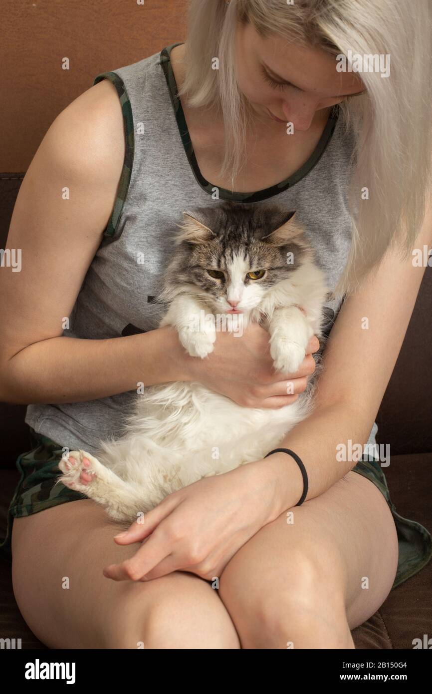 giovane donna con soffice gatto seduto sul divano lo abbraccia Foto Stock