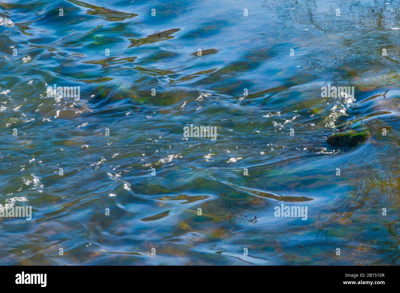 Superficie dell'acqua. Foto Stock