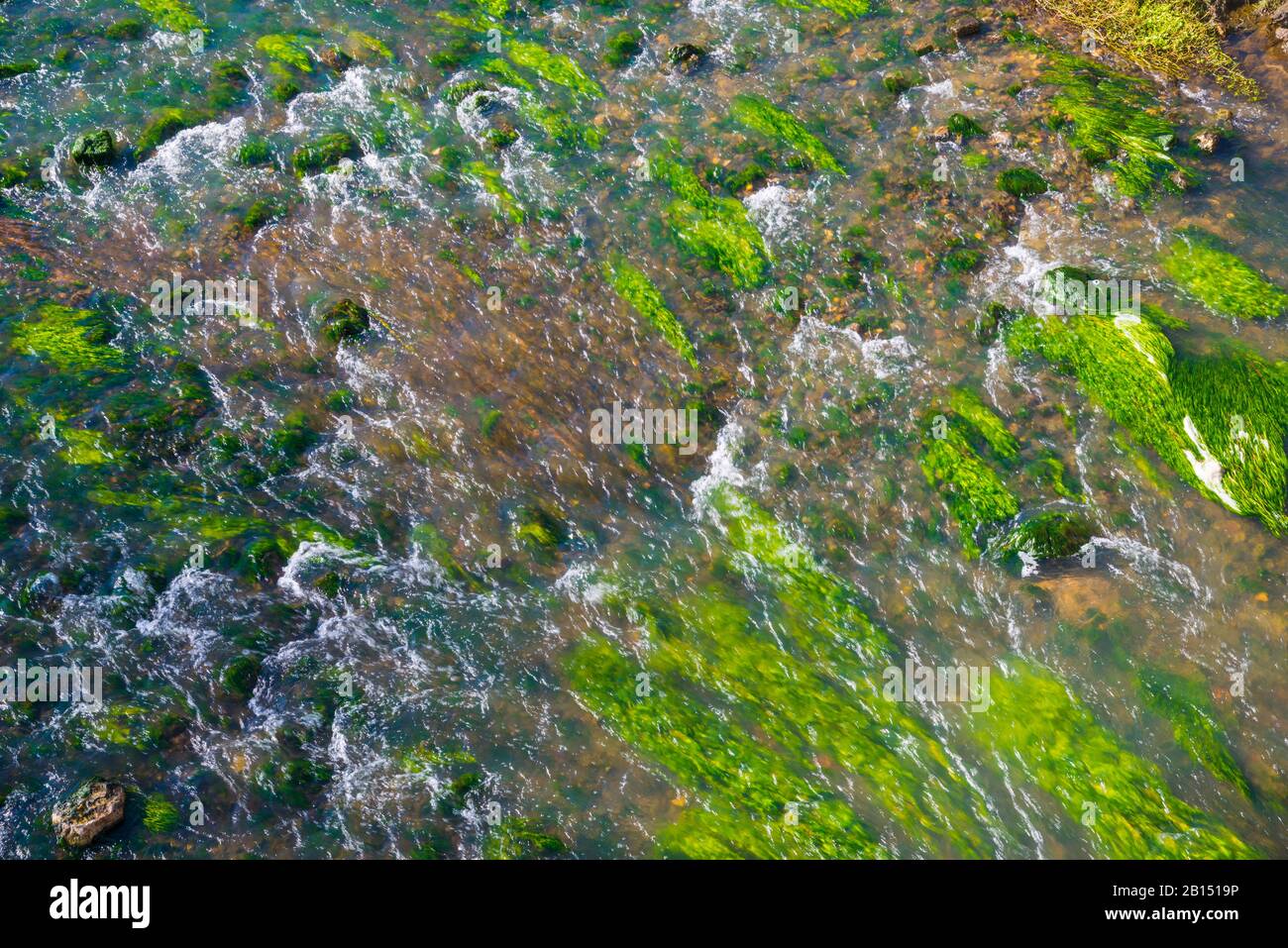 Acqua di fiume. Foto Stock