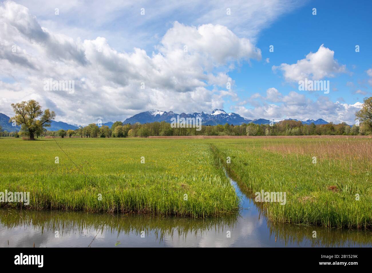 Grabenstaetter Moos, coltivato con Kampenwand montagna sullo sfondo, Germania, Baviera, Lago Chiemsee Foto Stock
