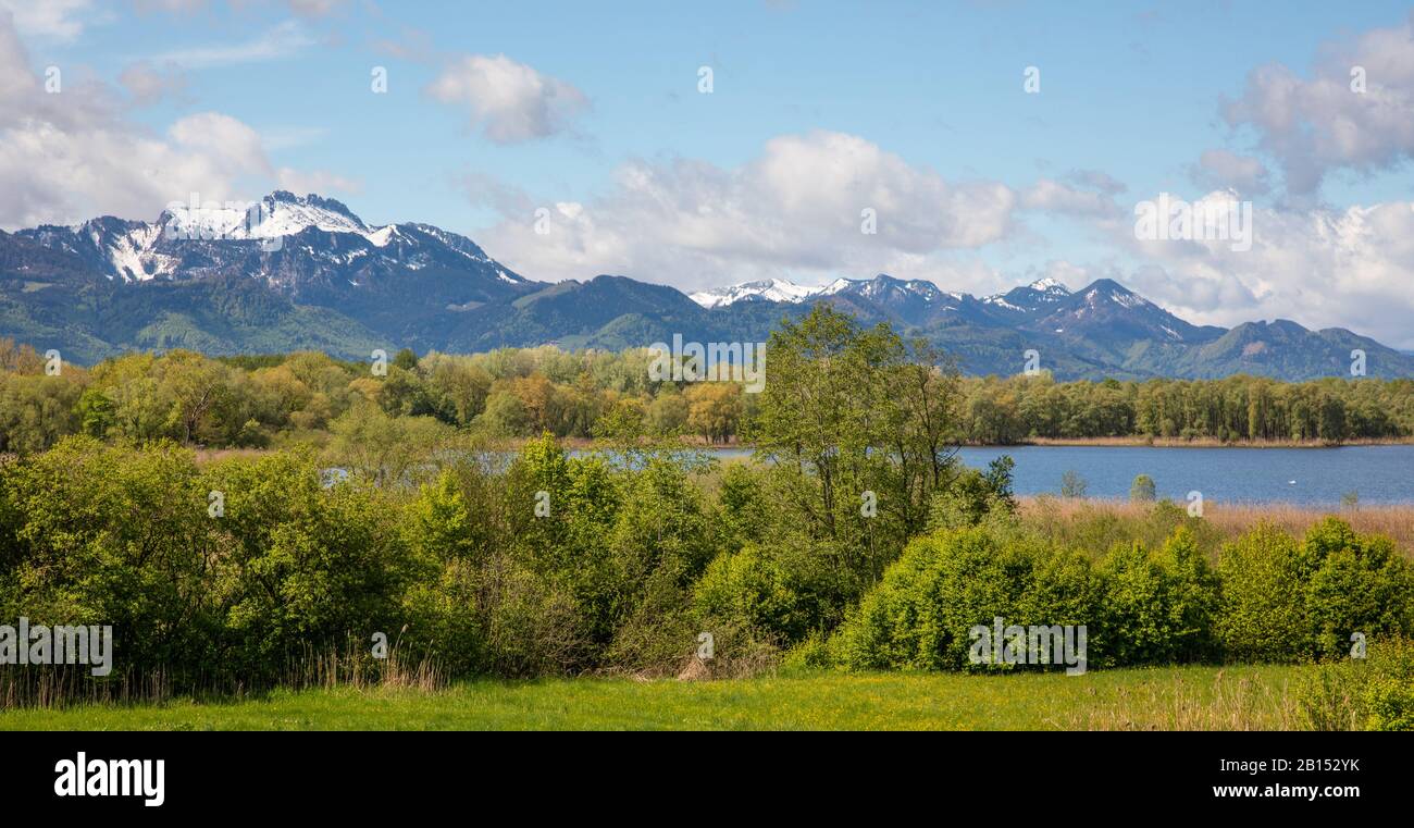Hirschauer Bucht del lago Chiemsee e Kampenwand montagna in primavera, Germania, Baviera, Lago Chiemsee Foto Stock
