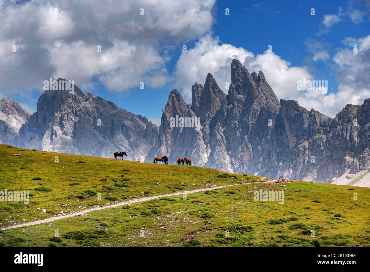 Alto itinerario di Raschoetz in Alto Adige, Italia, Alto Adige, Dolomiti Foto Stock