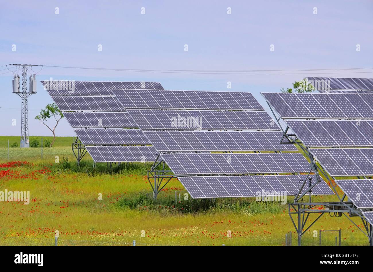 Solaranlage auf Feld - impianto solare sul campo 09 Foto Stock
