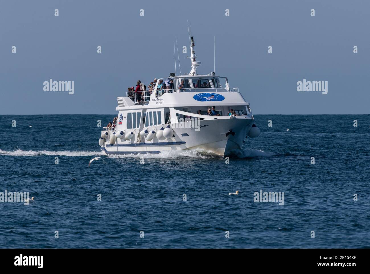 Barca per guardare le gannette in Bretagna. Foto Stock
