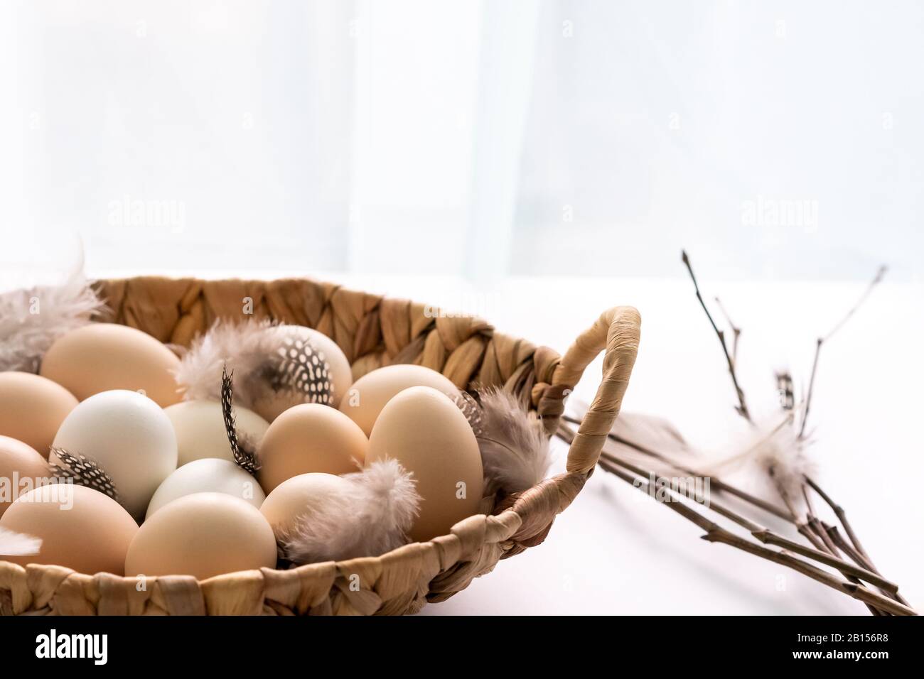 Fresco crudo fattoria biologica chiken uova in un cesto su sfondo whita. Cibo sano naturale e agricoltura biologica, concetto di pasqua. Foto Stock