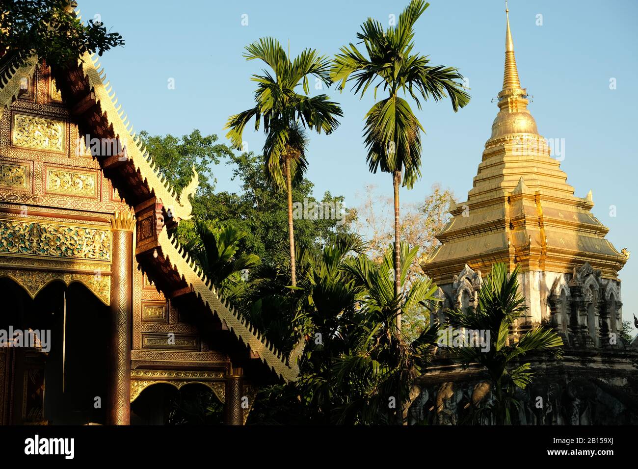 Chiang mai Thailandia - Temple area Chiang Man tetti dorati in prima mattina Foto Stock