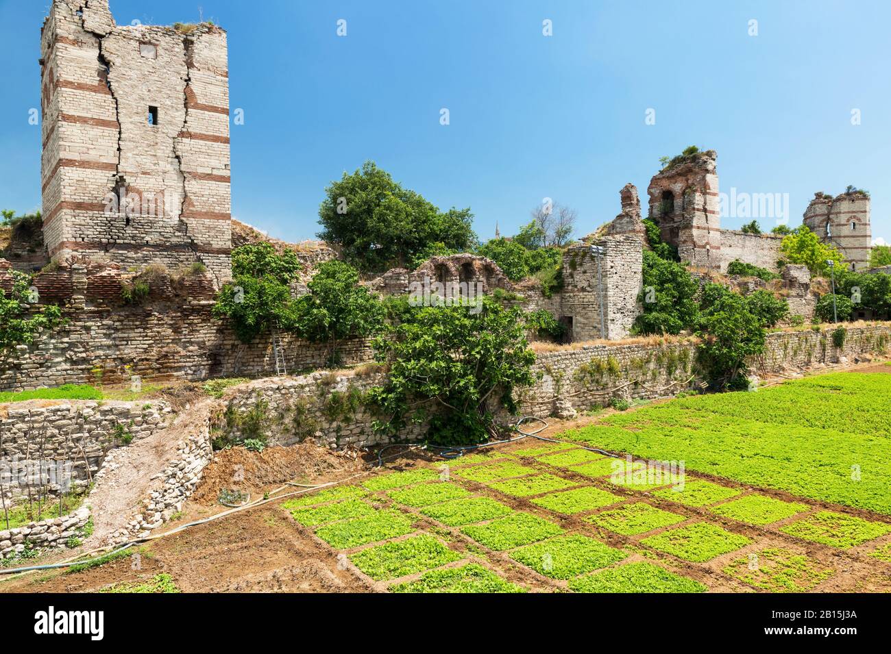 Le rovine della famosa antica mura di Costantinopoli ad Istanbul in Turchia Foto Stock