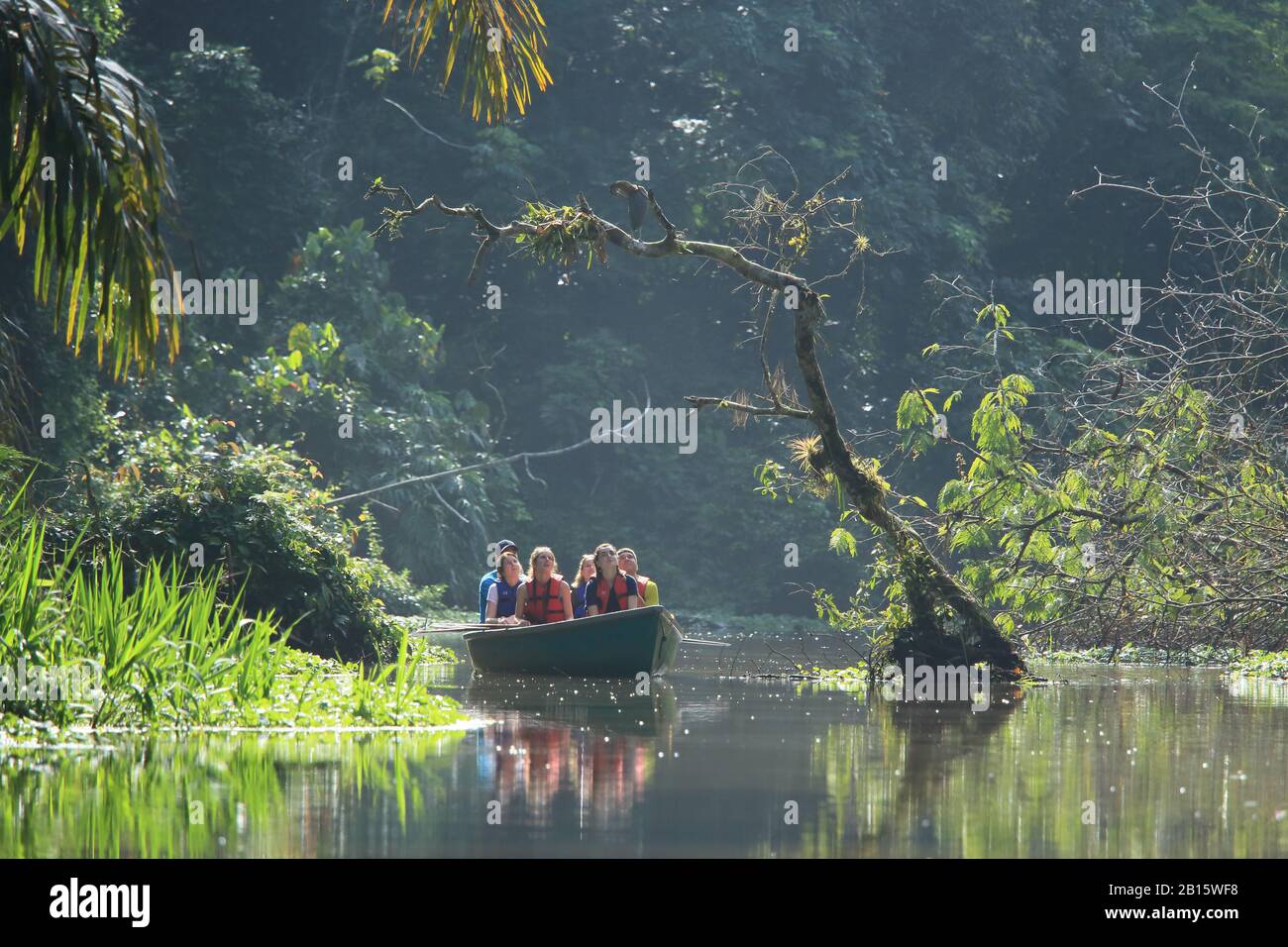 Imbarcazione turistica sul canale naturale della foresta pluviale nel Parco Nazionale del Tortuguero. Costa Rica. Maggio 2018. Foto Stock
