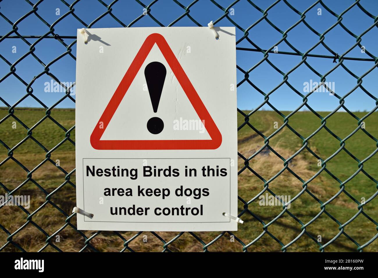 Segnale di avvertimento uccelli nidificanti in questa zona tenere i cani sotto controllo. Triangolo rosso con punto esclamativo. Firma sulla recinzione intorno alla riserva naturale Culross, Regno Unito Foto Stock