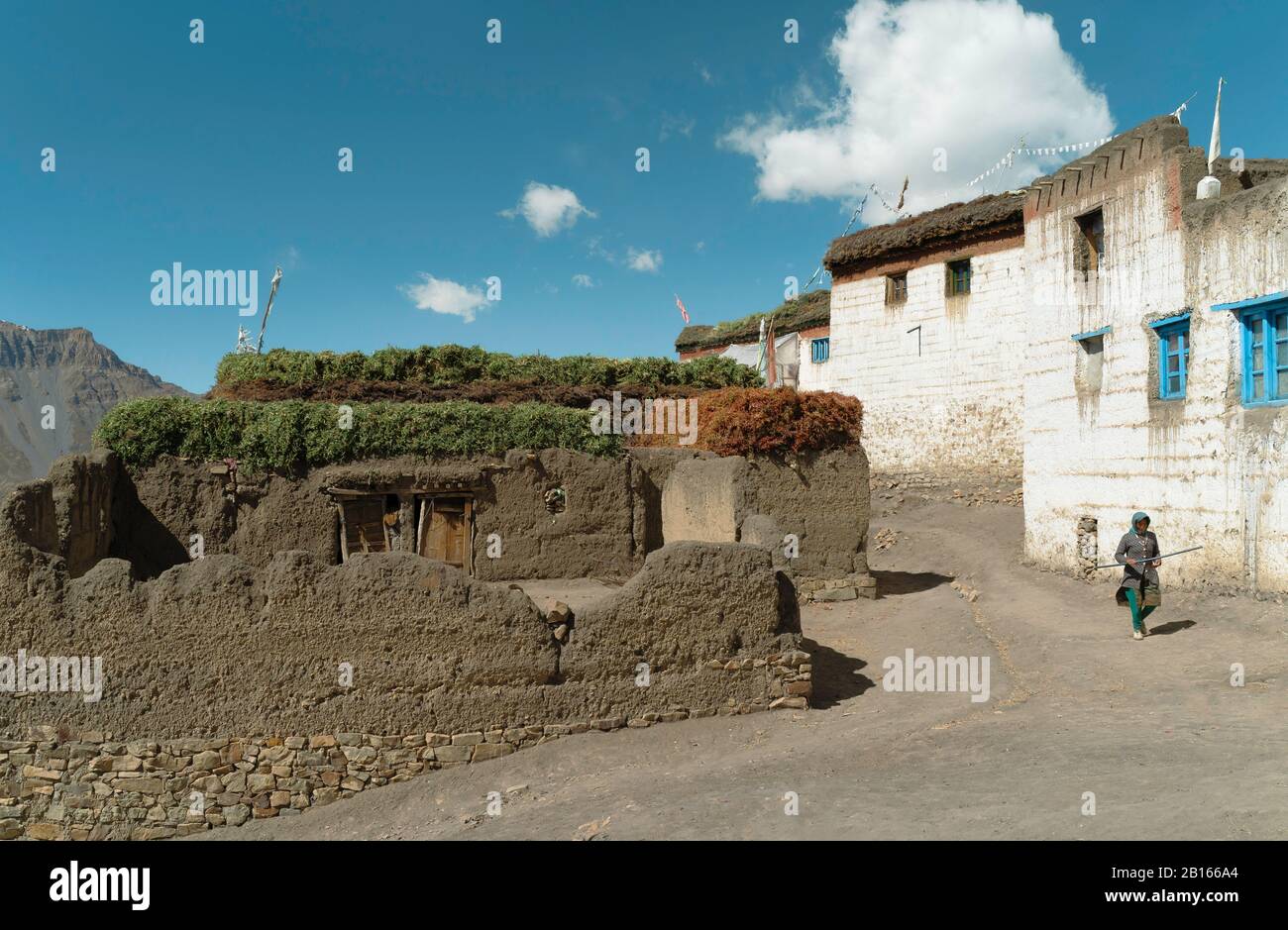 Case tradizionali del villaggio, fango intonacato, con foraggio animale sul tetto fiancheggiato da Himalaya in Komic, Himachal Pradesh, India. Foto Stock