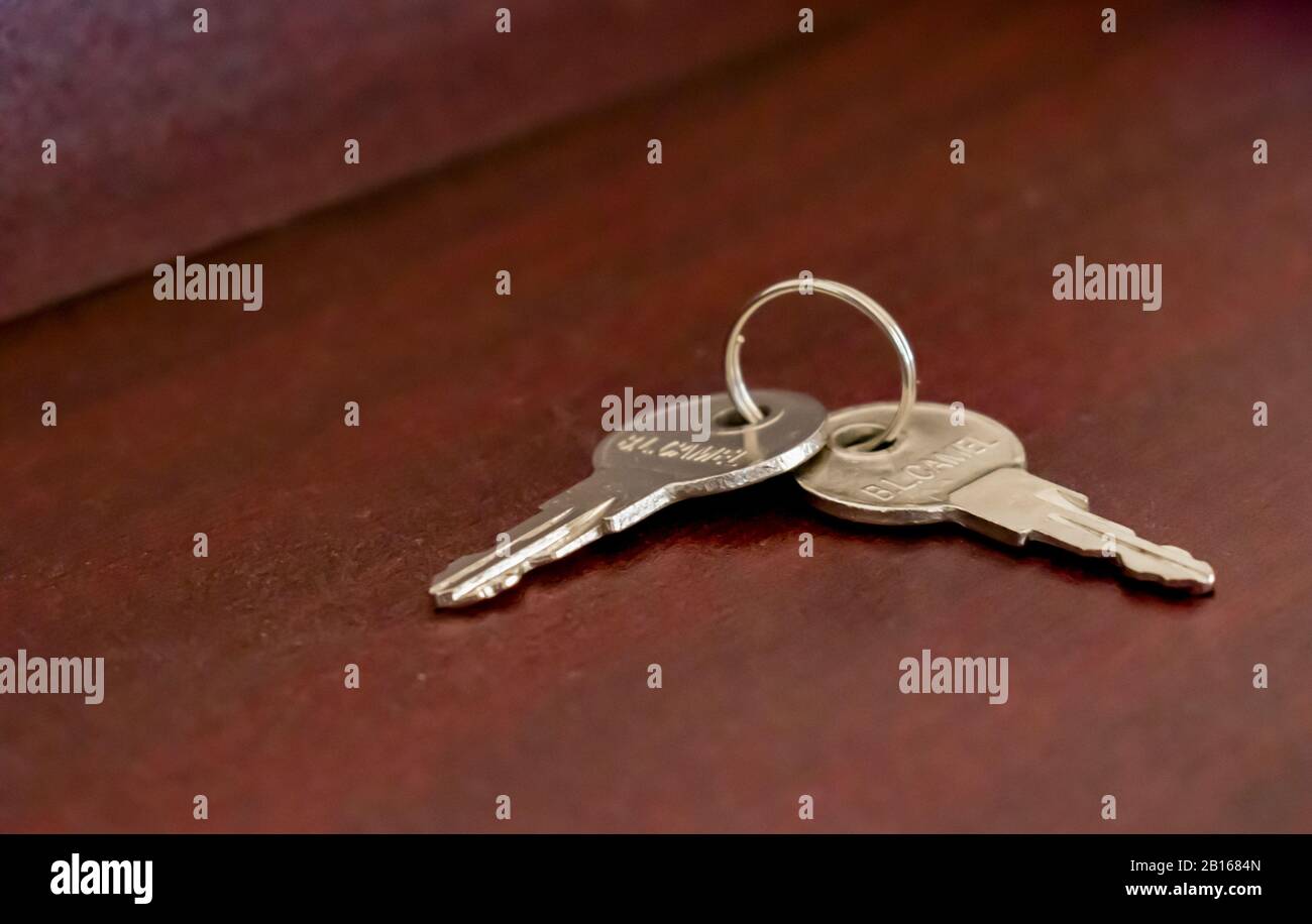 Una serratura è un dispositivo di fissaggio meccanico o elettronico che viene rilasciato da un oggetto fisico, o da una loro combinazione o che può essere solo a fune Foto Stock