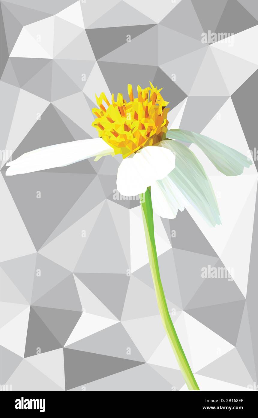 Bassa immagine in poli di una margherita con uno sfondo Foto Stock