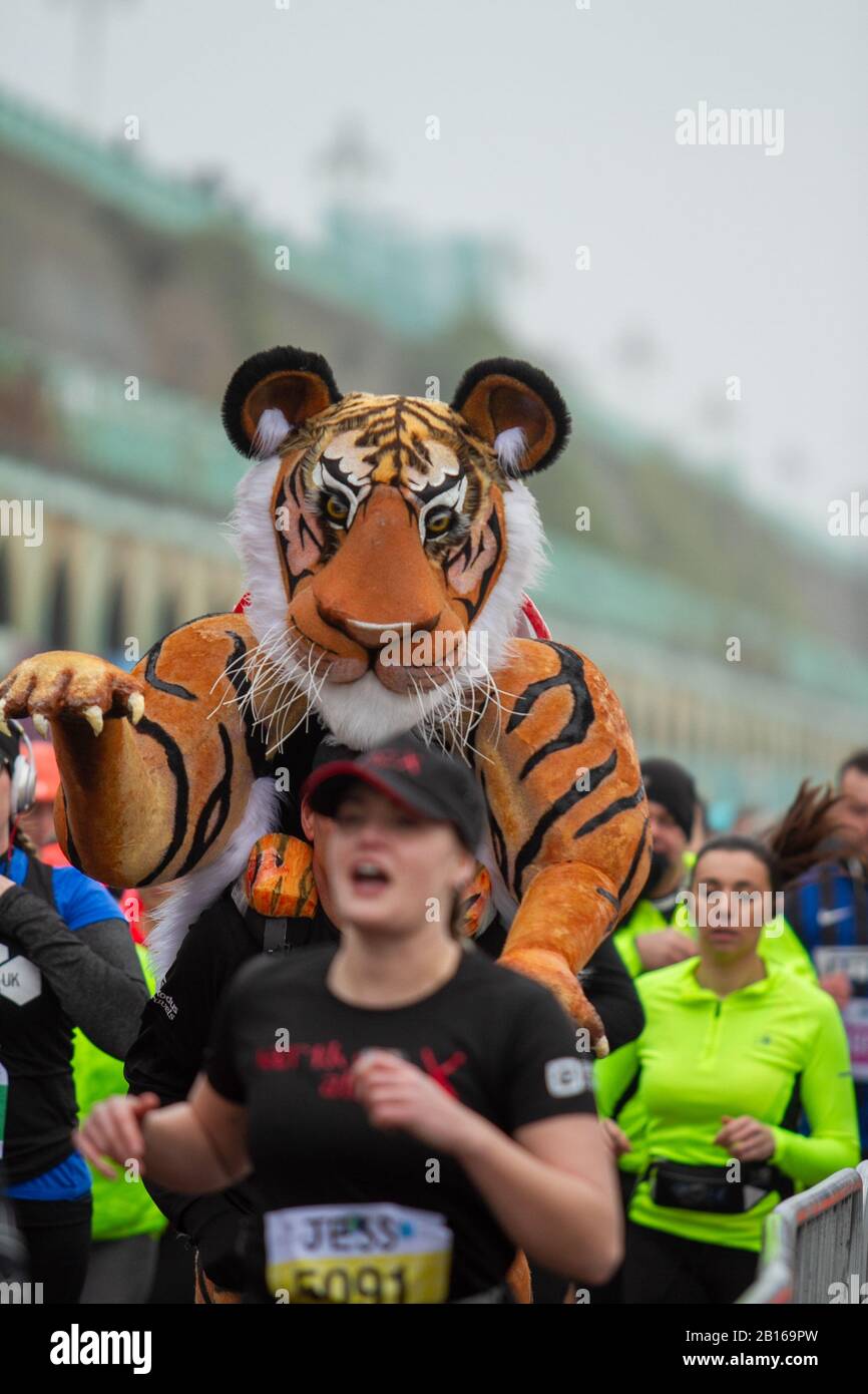 Brighton, Regno Unito. 23 Febbraio 2020. Migliaia di corridori si sono aggiunti alla 30th Brighton Half Marathon a partire da Madeira Drive alle 09:30, percorrendo un percorso di 13,1 km attraverso la città e molti dei suoi punti di riferimento. Anche le gare su sedia a rotelle si sono unite a una gara precedente. L'evento si è concluso con il premio premia i vincitori in tarda mattinata. L'evento ha portato in città un'atmosfera festosa con diverse strade chiuse a seguito dell'evento. (Credit Image: © Matt Duckett/Imageslive Via Credit: Zuma Press, Inc./Alamy Live News Foto Stock