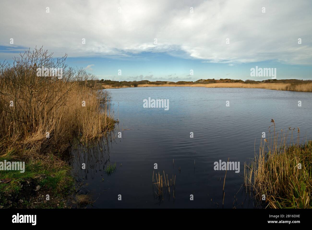 Llyn Cerrig Bach, Anglesey, è un lago che sembra essere stato sacro ai Celti dell'età del ferro. I reparti ecc. erano stati collocati nel lago come offerte votive. Foto Stock