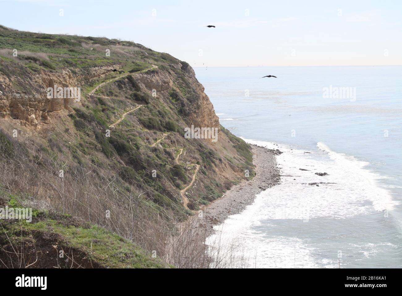 Palos Verdes San Pedro California Costa del Pacifico Stati Uniti Foto Stock