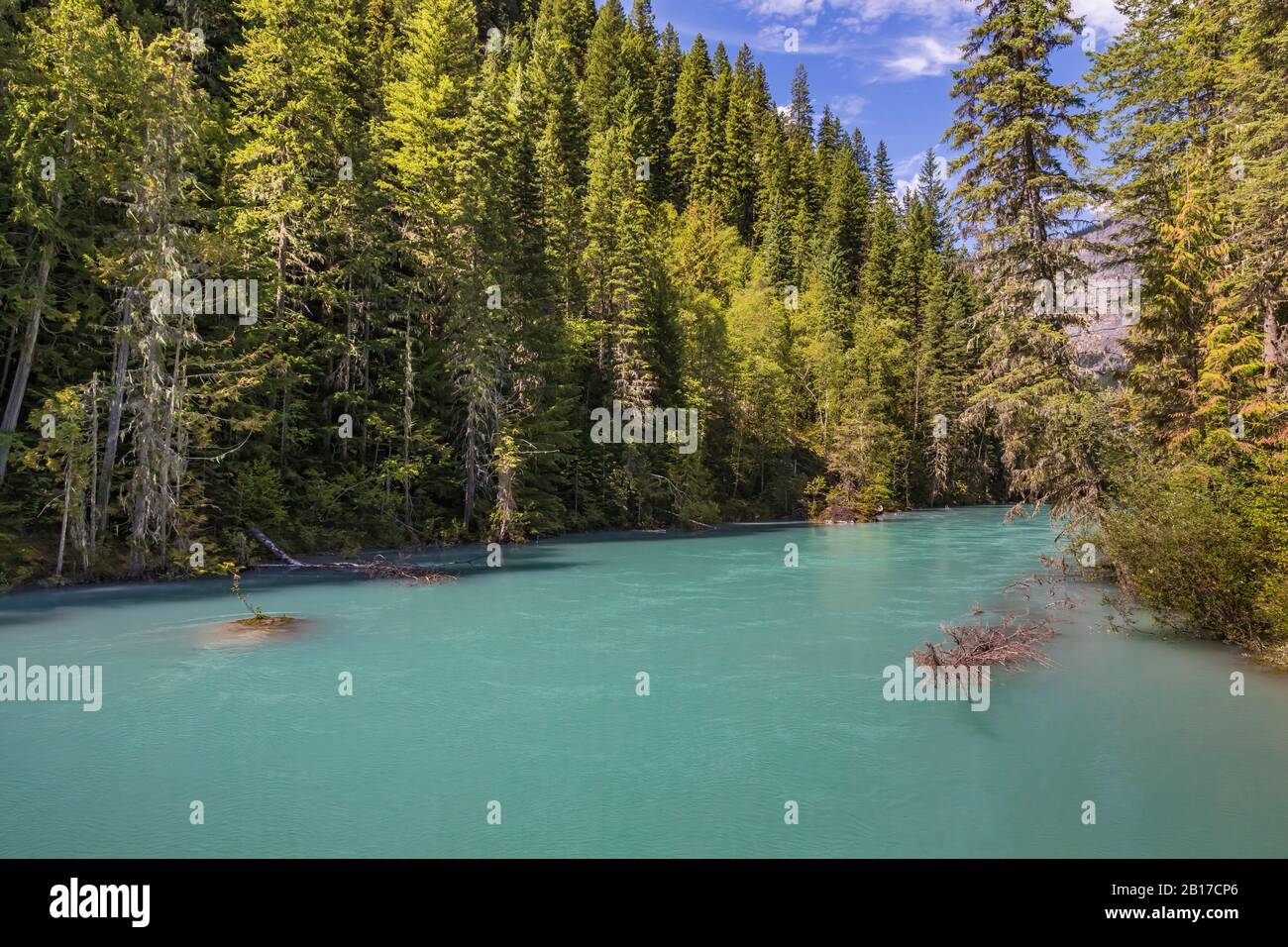 Vista a monte dal ponte sul fiume Robson, colorato da farina glaciale, nel Mount Robson Provincial Park, British Columbia, Canada Foto Stock