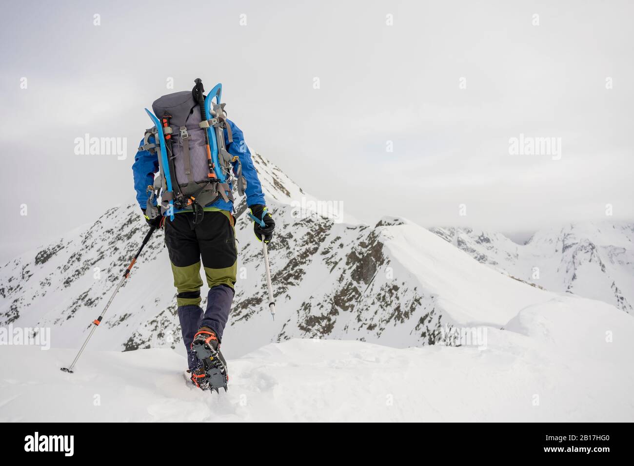 Uomo in escursione sulla cresta di una montagna innevata, Lombardia, Valtellina, Italia Foto Stock