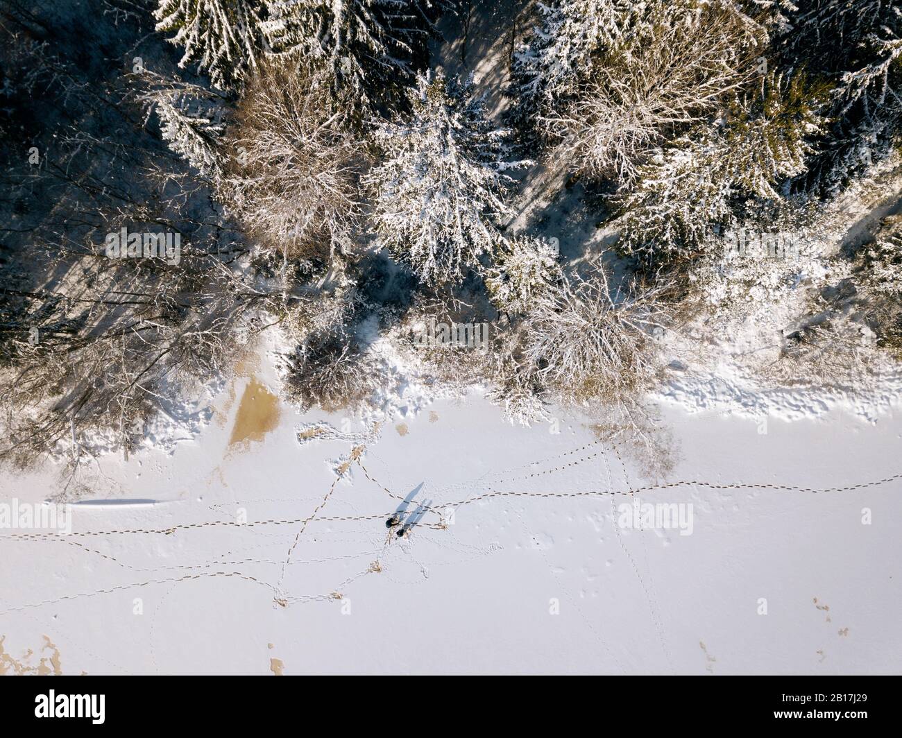 Russia, Oblast di Leningrado, Tikhvin, veduta aerea di due uomini che pescano sulla riva ghiacciata Foto Stock
